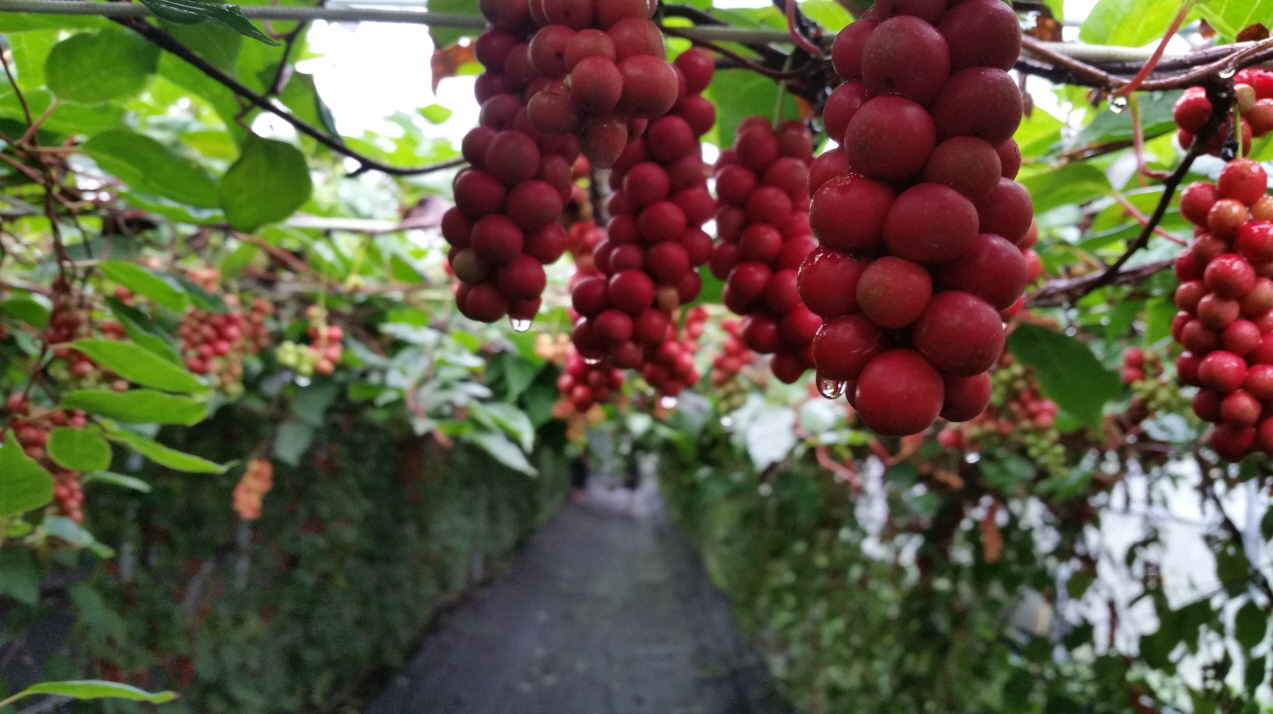 우리 미자씨를 찾아주세요!